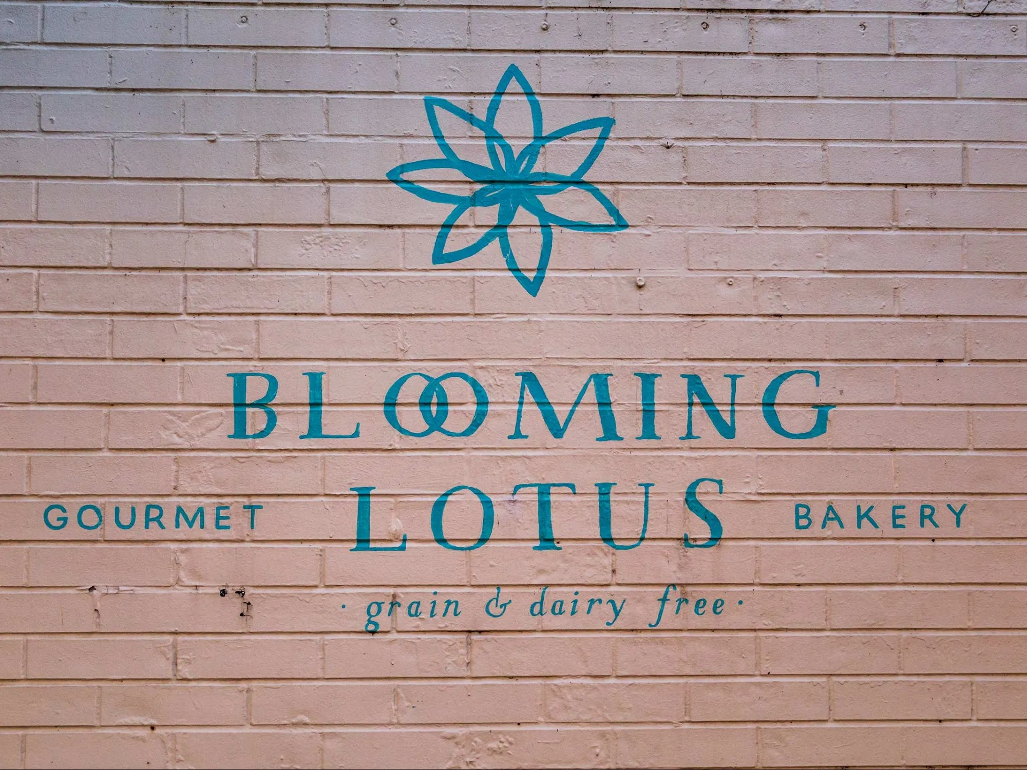 Blooming Lotus